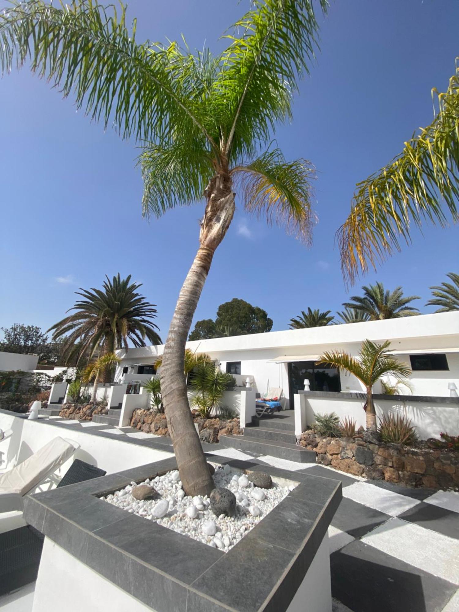 Paraiso Villas Playa Paraíso Eksteriør billede